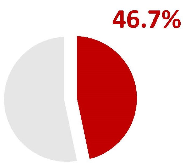 neoltipiechart1.jpg